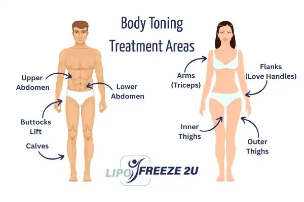 Graphic showing where you can have Body toning Treatment Royal Leamington Spa on your body